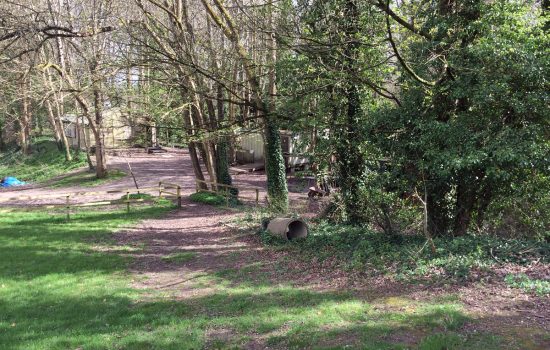 Access will limited by foliage, trees and brambles.